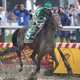 Illustration for article titled The Preakness Was A Foggy, Muddy, Wonderful Mess